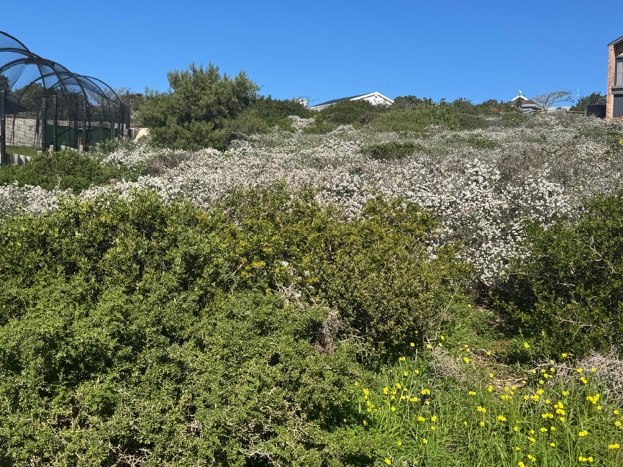 0 Bedroom Property for Sale in Vleesbaai Western Cape